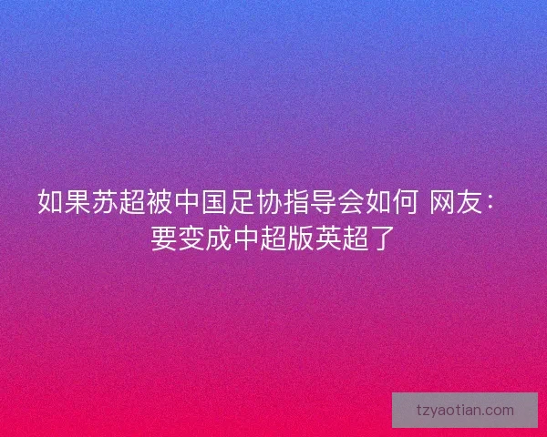 如果苏超被中国足协指导会如何 网友：要变成中超版英超了