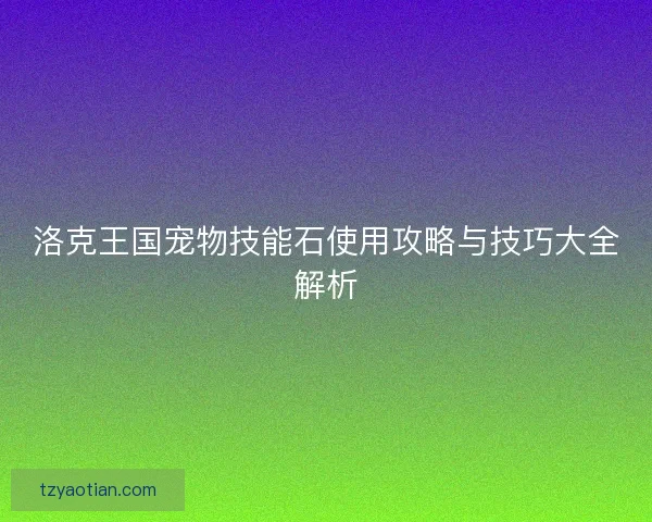洛克王国宠物技能石使用攻略与技巧大全解析