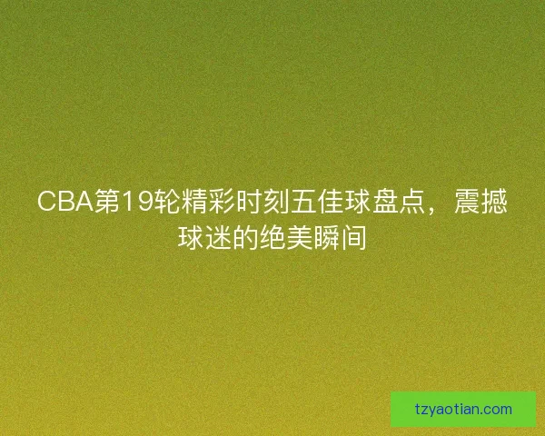 CBA第19轮精彩时刻五佳球盘点，震撼球迷的绝美瞬间