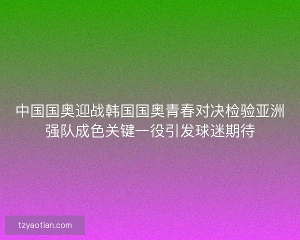 中国国奥迎战韩国国奥青春对决检验亚洲强队成色关键一役引发球迷期待